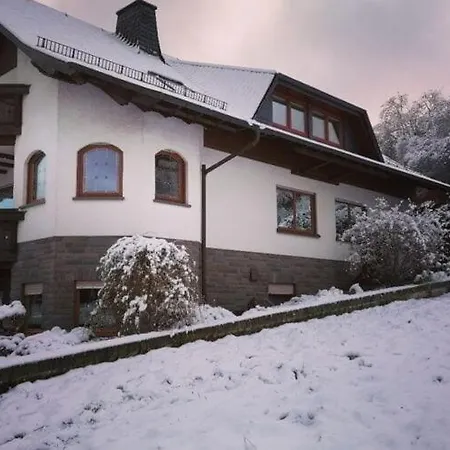 Spacious Flat In Near The N Rburgring * Adenau
