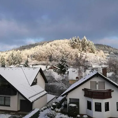 Spacious Flat In Near The N Rburgring Apartment Adenau