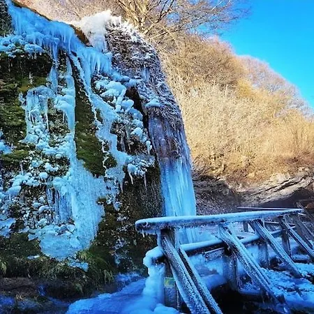 Spacious Flat In Near The Nuerburgring * אדנאו