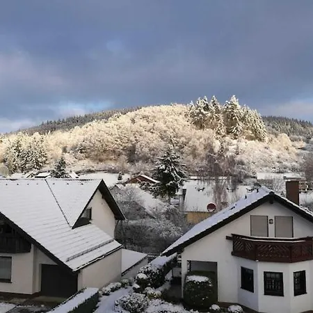Spacious Flat In Near The Nuerburgring