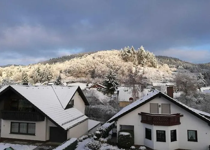 Spacious Flat In Near The Nuerburgring