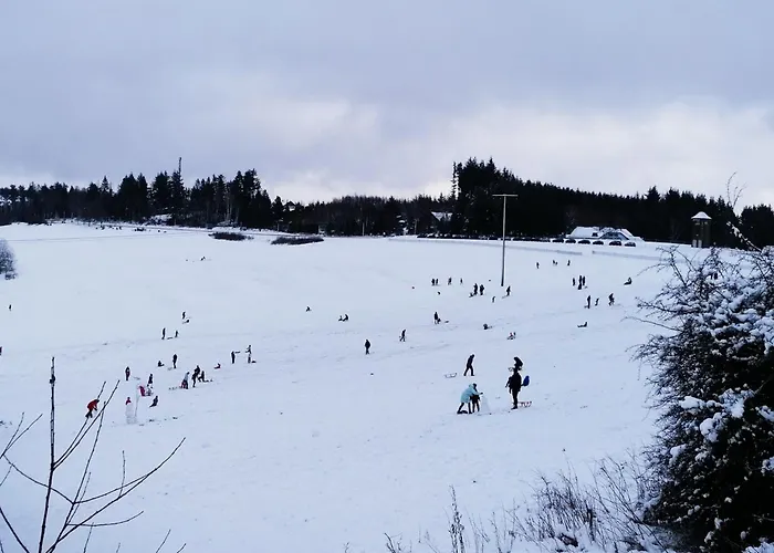 Apartamento Spacious Flat In Near The Nuerburgring Adenau