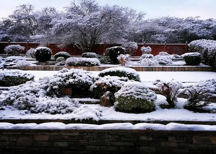 Spacious Flat In Near The Nuerburgring *
