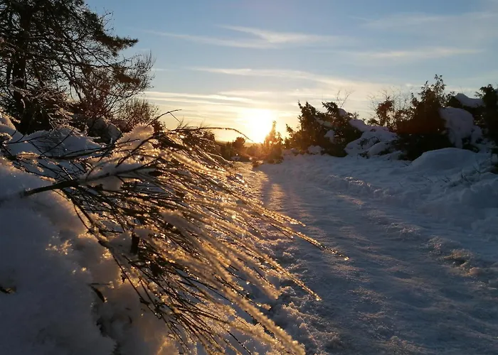 Spacious Flat In Near The Nuerburgring *